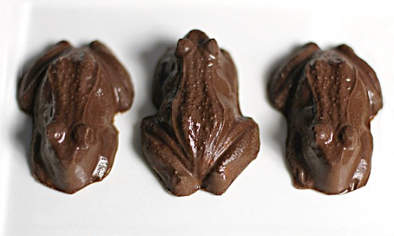 chocolate-frogs