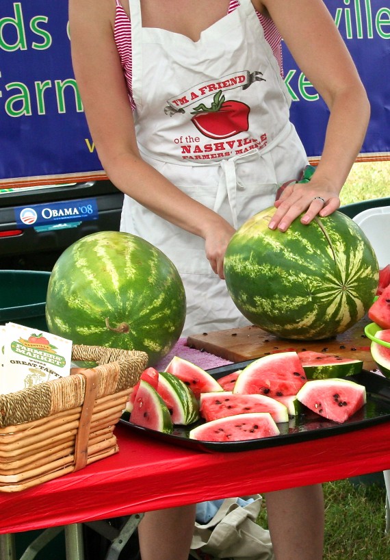 watermelon-main